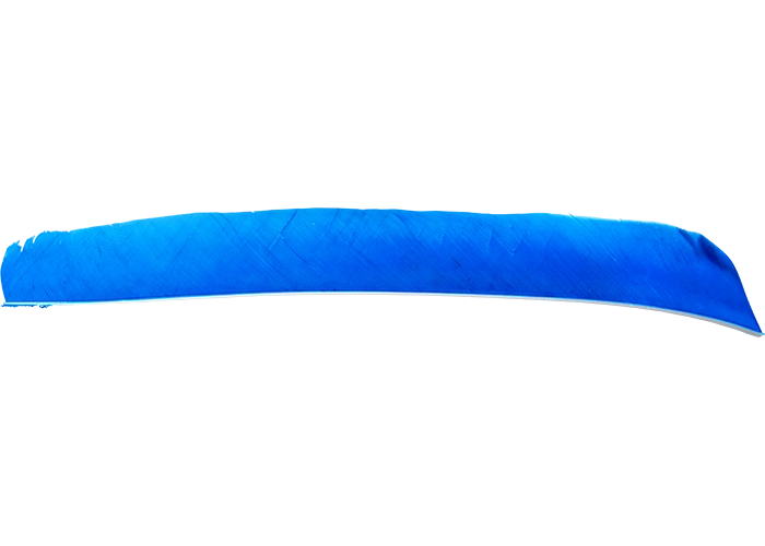 feathers_full_length_blue