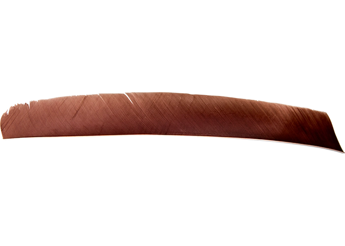 feathers_full_length_brown