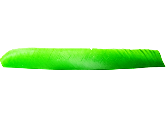 feathers_full_length_green