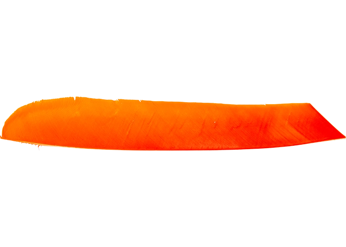 feathers_full_length_orange