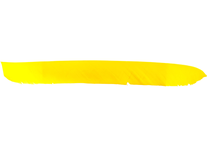 feathers_full_length_yellow