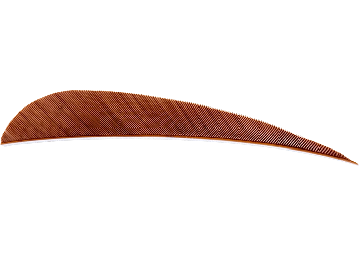 feathers_round_brown