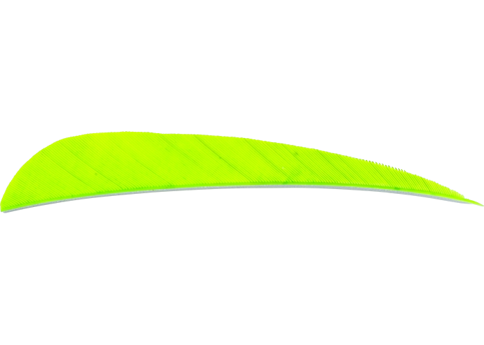 feathers_round_fluogreen