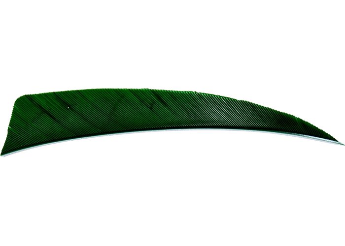 feathers_shield_darkgreen