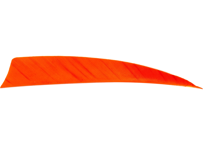 feathers_shield_orange