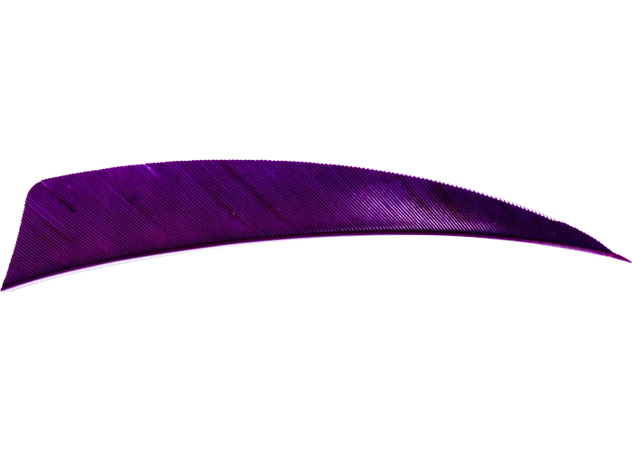 feathers_shield_purple