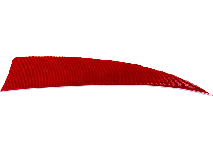 feathers_shield_red